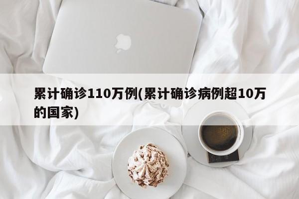 累计确诊110万例(累计确诊病例超10万的国家)