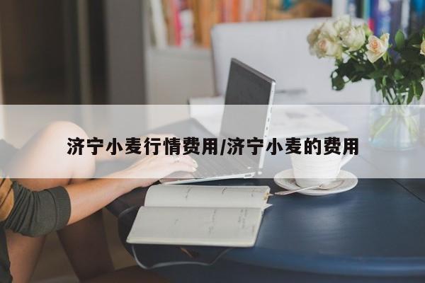 济宁小麦行情费用/济宁小麦的费用
