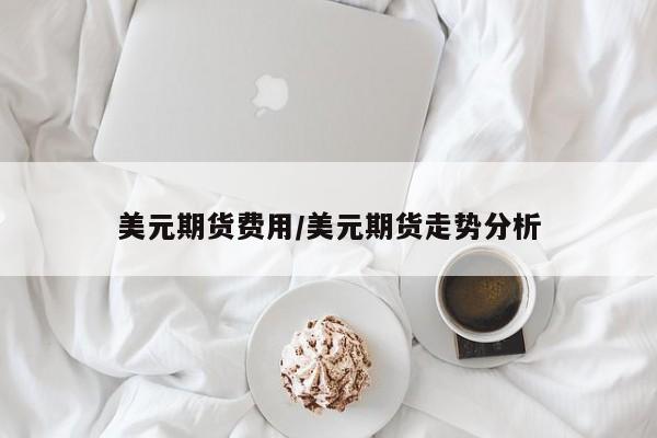 美元期货费用/美元期货走势分析